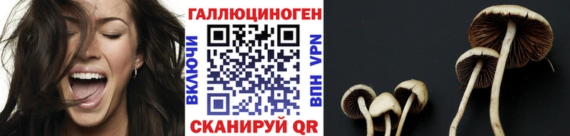 Галлюциногенные грибы мицелий  что такое   Харовск 